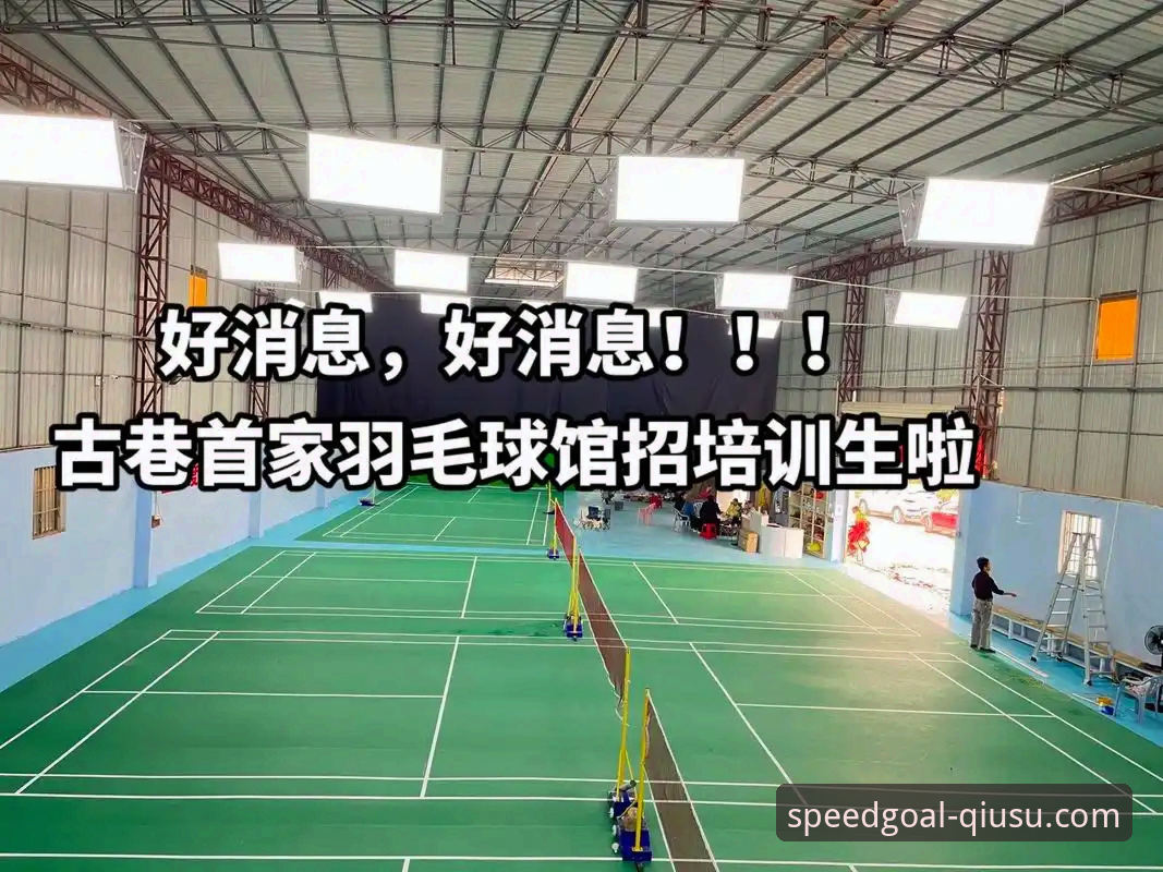 揭秘球速体育安卓下载使用指南：新手必看的完整操作攻略