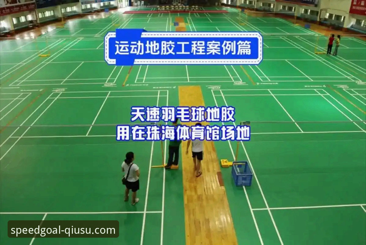 球速体育官方客户端完整使用指南：从下载到高阶功能全掌握